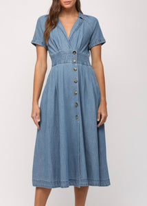 Front Button Denim Maxi Dress