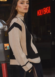 Colorblock Turtleneck Sweater
