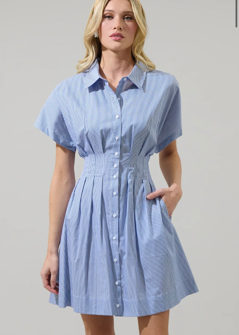 Striped Alix Mini Dress