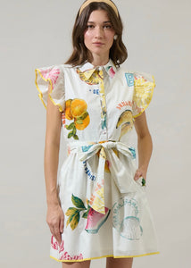 Island Ruffle Collared Mini Dress
