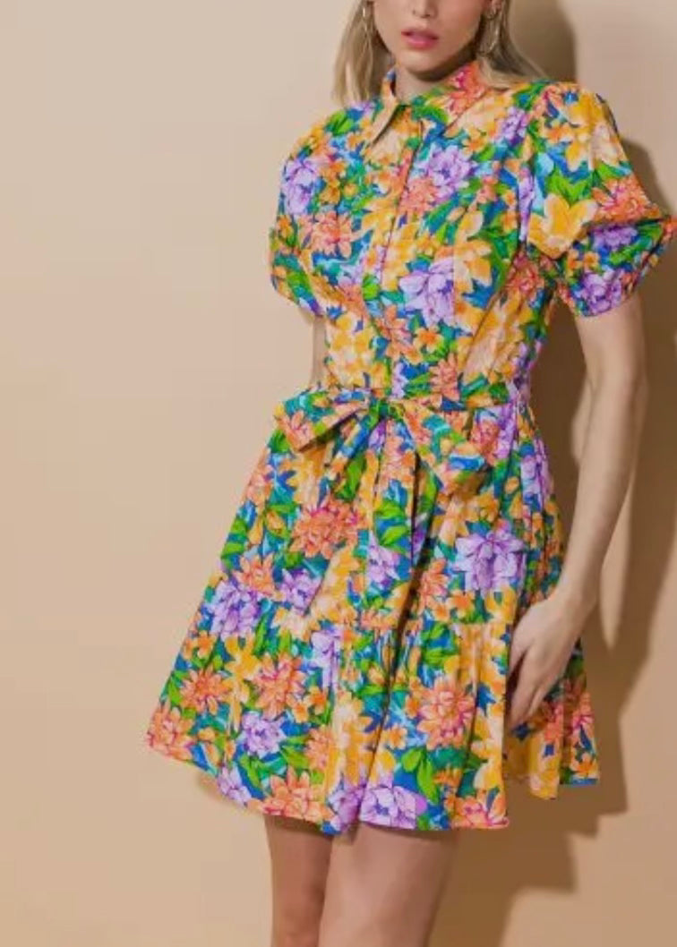 Floral Print Mini Dress