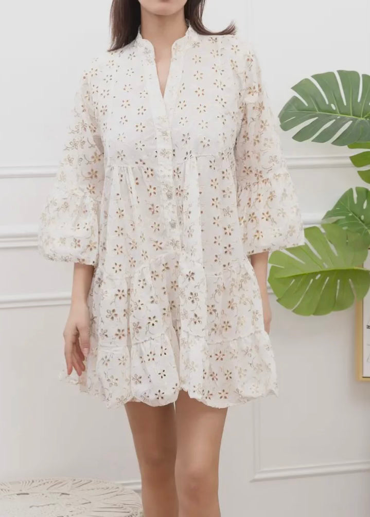 Metallic Embroidered Mini Dress